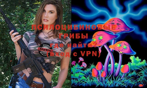 PSILOCYBIN Арсеньев
