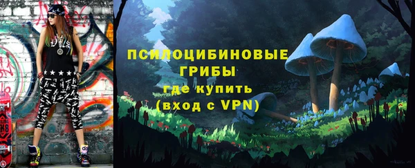 шишки Армянск