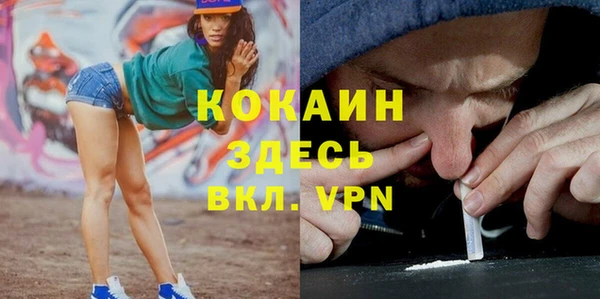 шишки Армянск
