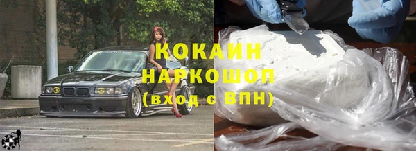 шишки Армянск