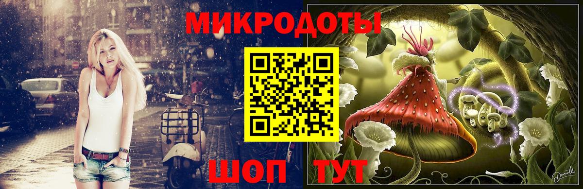 Баксан  Псилоцибиновые грибы прущие грибы  Вход с VPN 