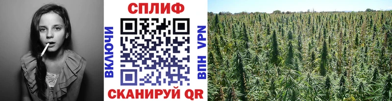 хочу наркоту Баксан Бошки марихуана ГИДРОПОН